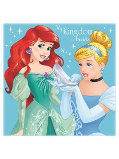   Disney Hercegnők Mágikus Kéztörlő arctörlő, törölköző 30*30cm